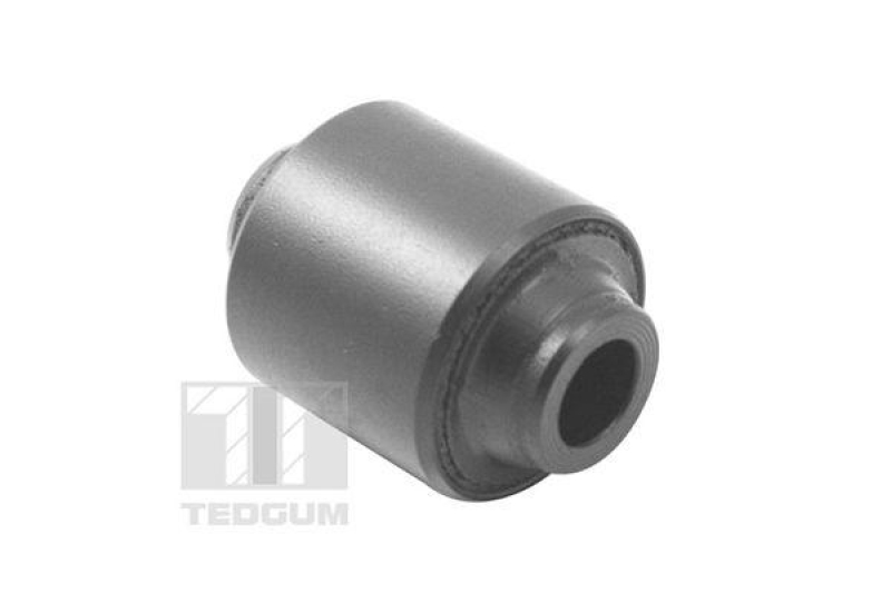 TEDGUM Mounting, control/trailing arm
