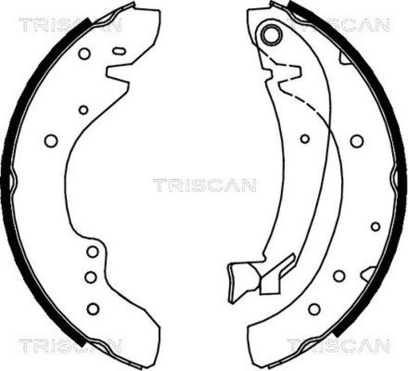 TRISCAN Brake Shoe Set