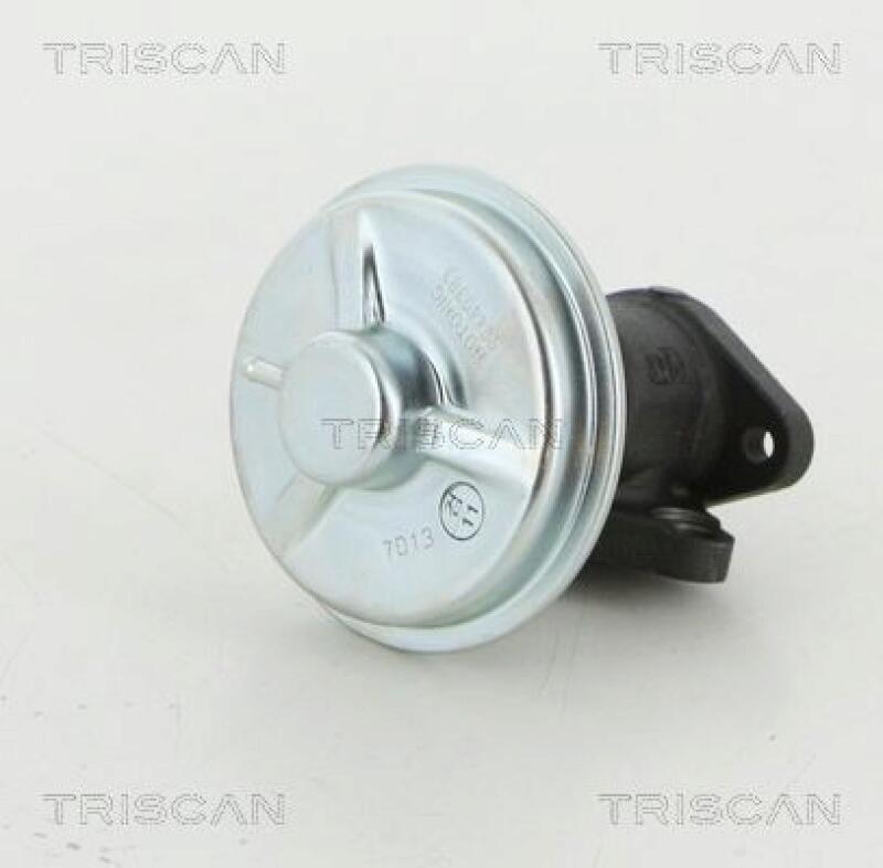 TRISCAN EGR Valve