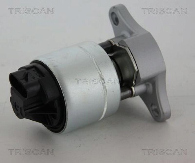 TRISCAN EGR Valve