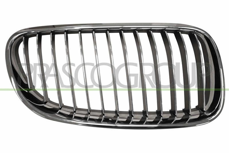 Radiator Grille