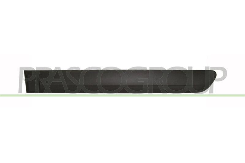 Trim/Protective Strip, door