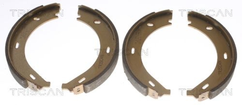 TRISCAN Brake Pad Set, disc brake