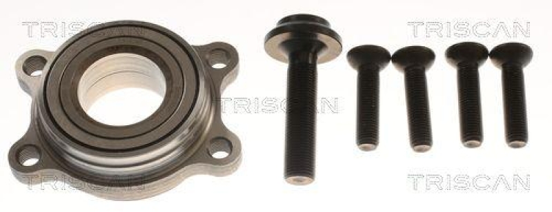 TRISCAN Wheel Bearing Kit