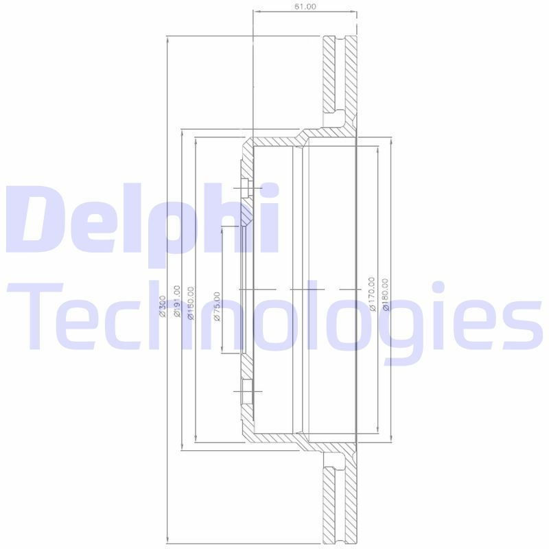 2x DELPHI Brake Disc