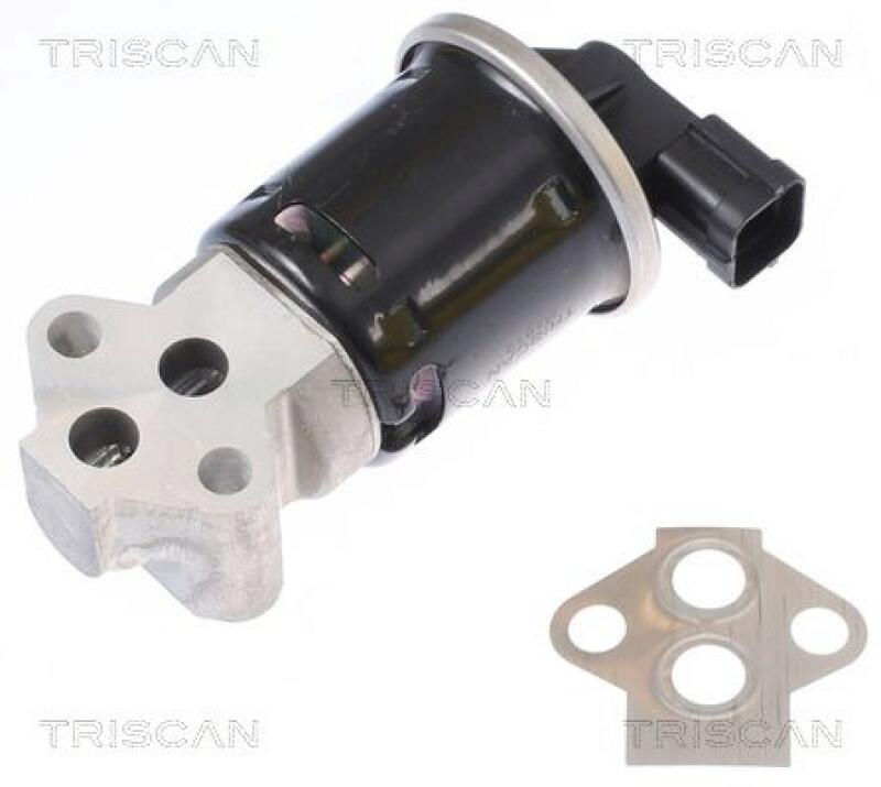 TRISCAN EGR Valve