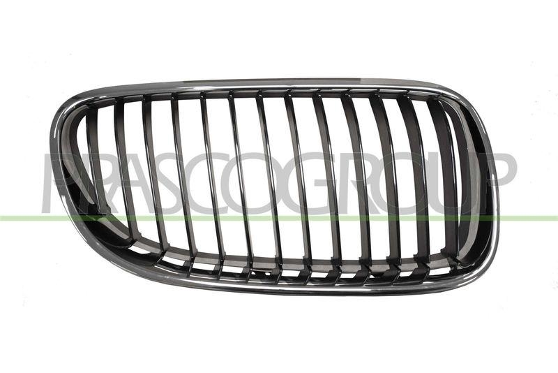 Radiator Grille