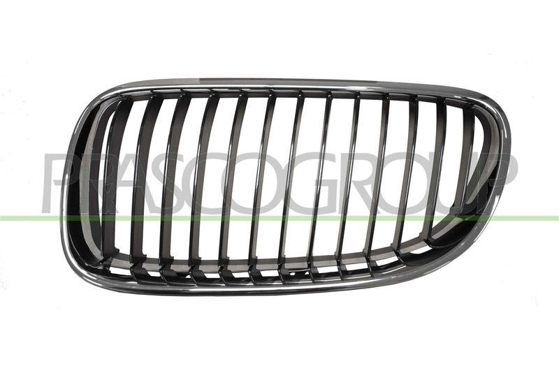 Radiator Grille