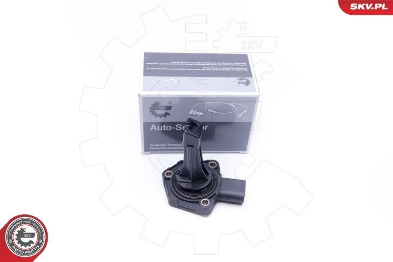 ESEN SKV Sensor, Motor&ouml;lstand