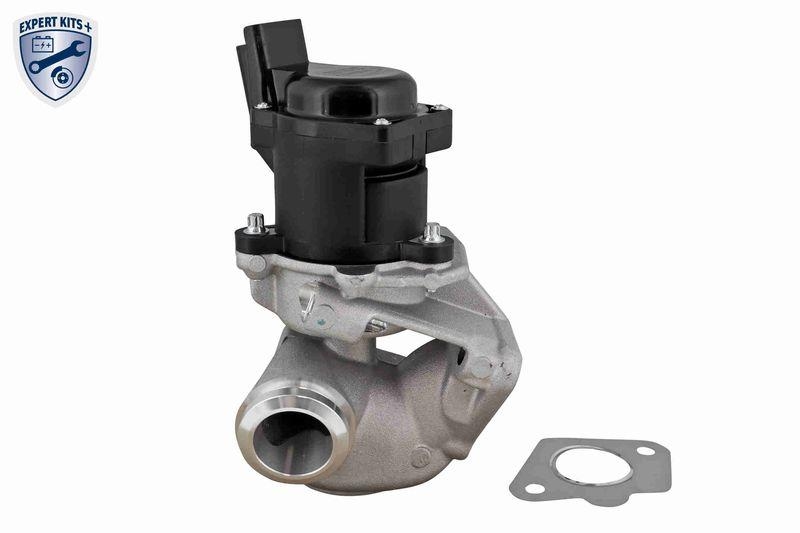 VEMO AGR-Ventil EXPERT KITS +