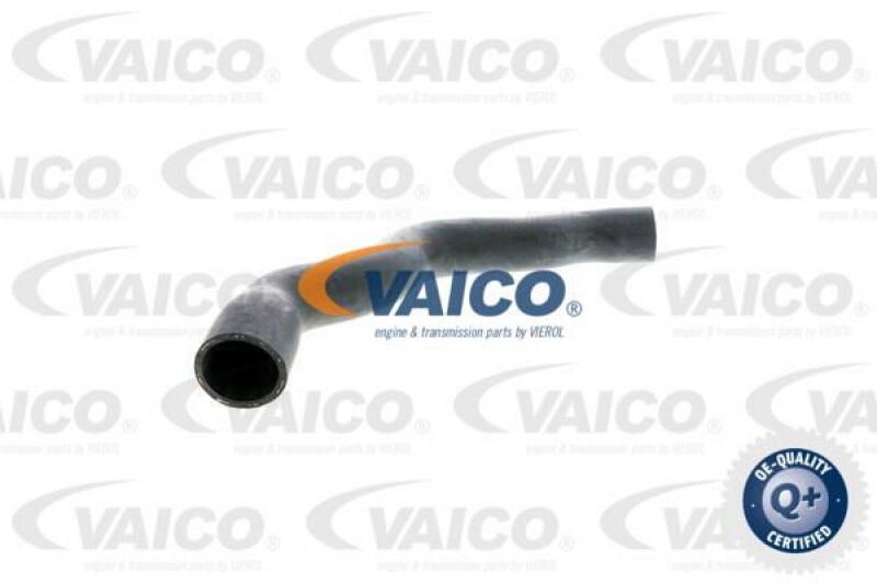 VAICO Radiator Hose Q+, original equipment manufacturer quality