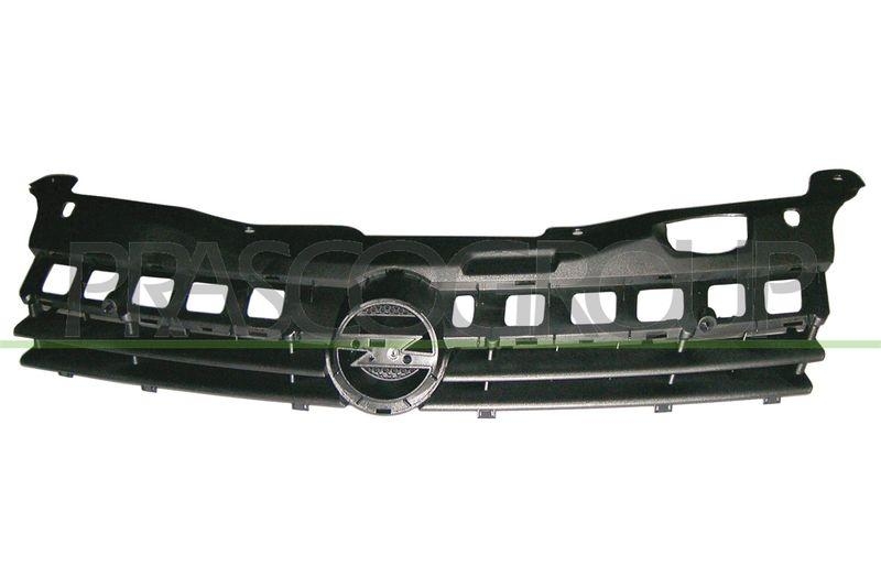 Radiator Grille Premium