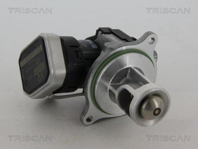 TRISCAN EGR Valve