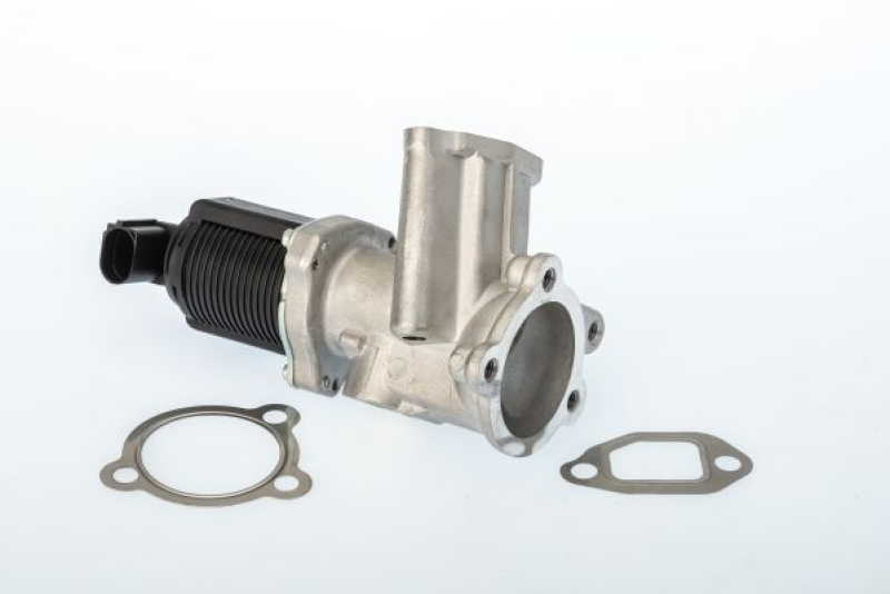 BorgWarner (Wahler) AGR-Ventil