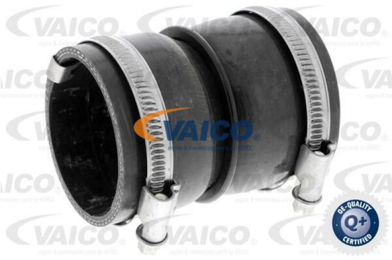 VAICO Charger Air Hose Q+, original equipment manufacturer quality