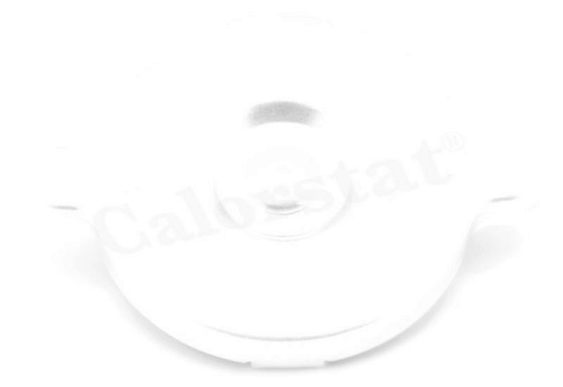 CALORSTAT by Vernet Sealing Cap, radiator