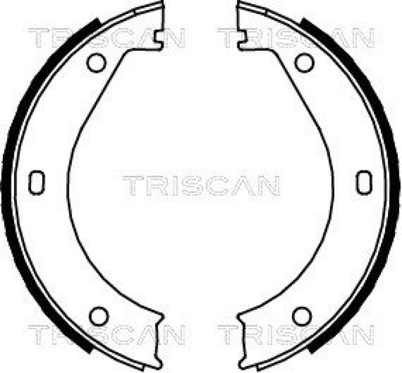 TRISCAN Bremsbackensatz, Feststellbremse 8100 11415