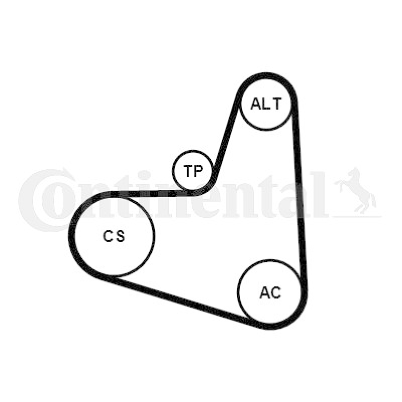 CONTINENTAL CTAM Keilrippenriemensatz