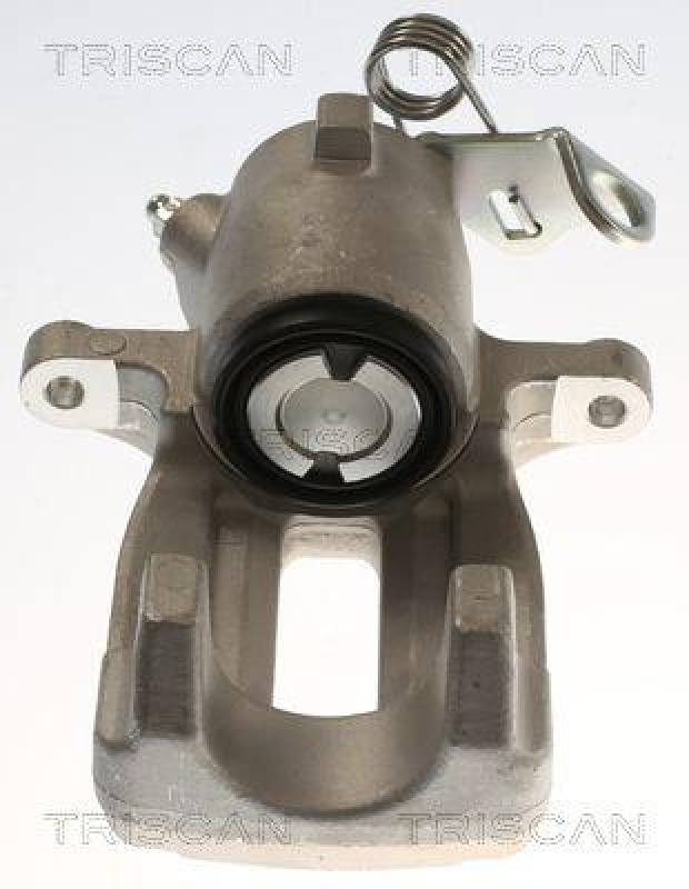 TRISCAN Bremssattel