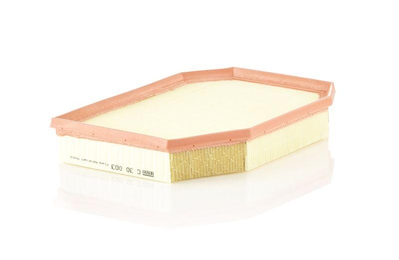 MANN-FILTER Air Filter