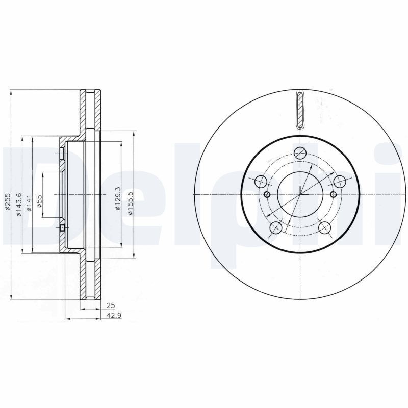 2x DELPHI Bremsscheibe