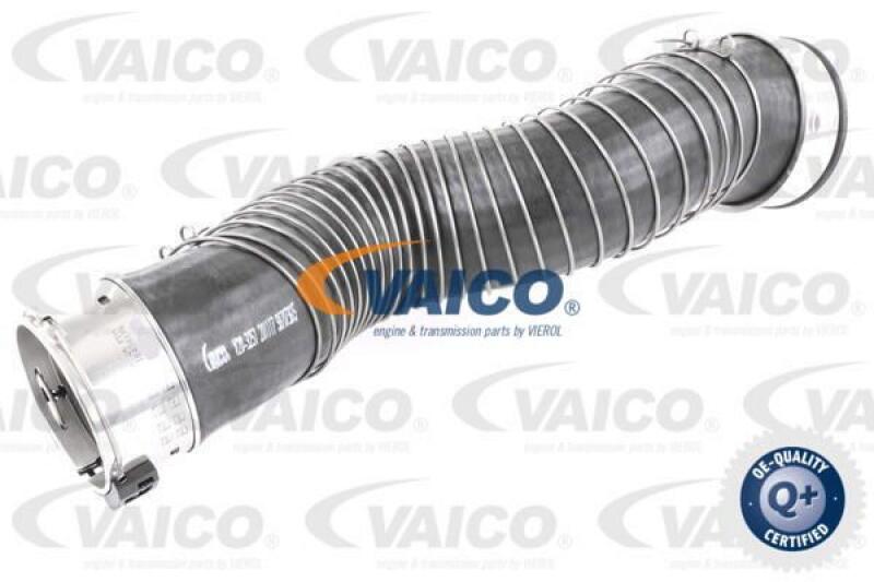 VAICO Charger Air Hose Q+, original equipment manufacturer quality