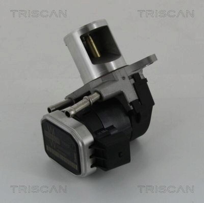 TRISCAN EGR Valve