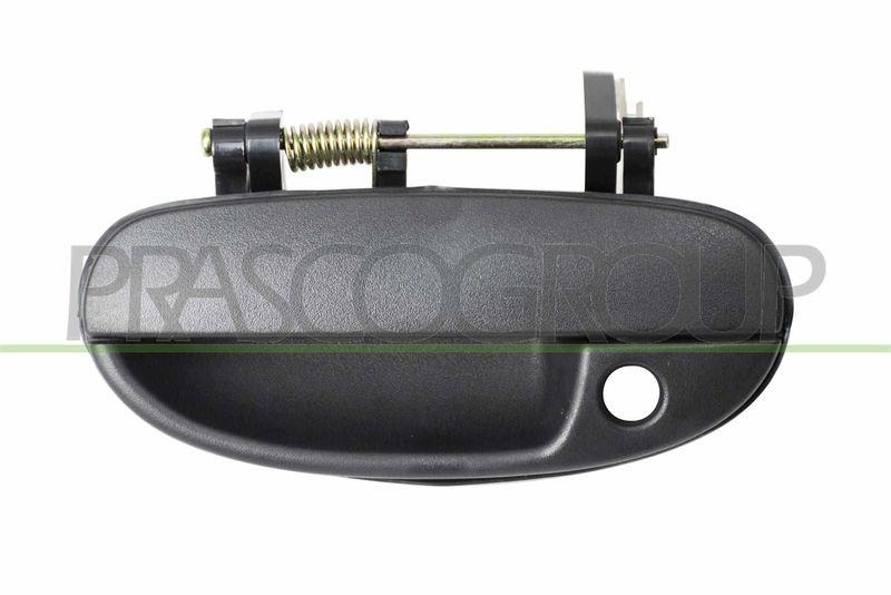 PRASCO Door Handle