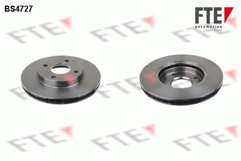 2x FTE Brake Disc