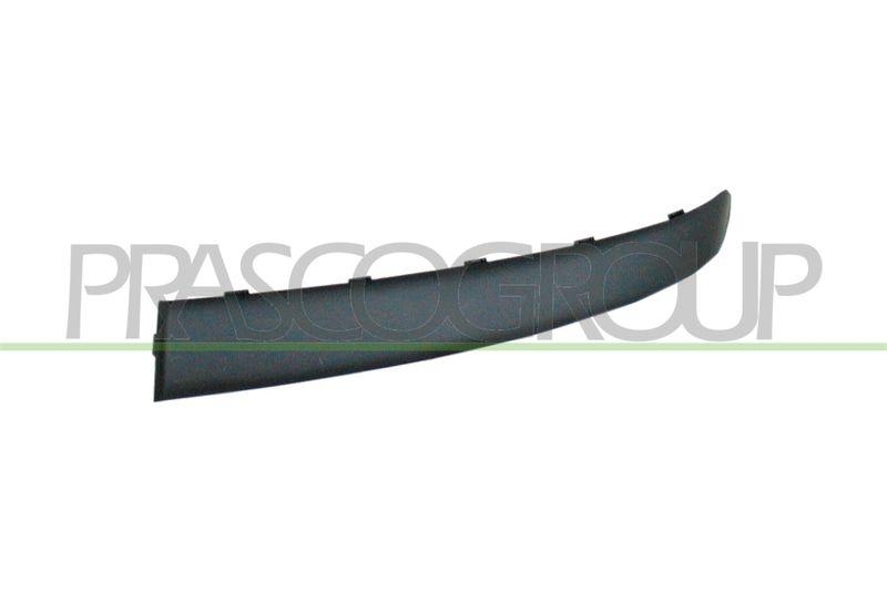 Trim/Protective Strip, bumper