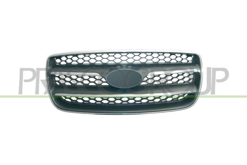 Radiator Grille