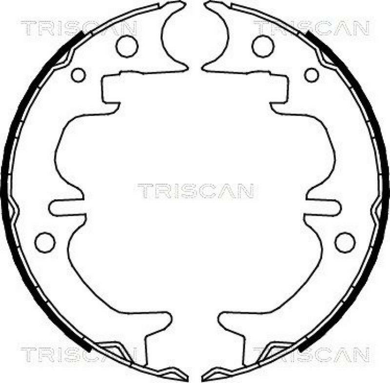 TRISCAN Brake Shoe Set, parking brake