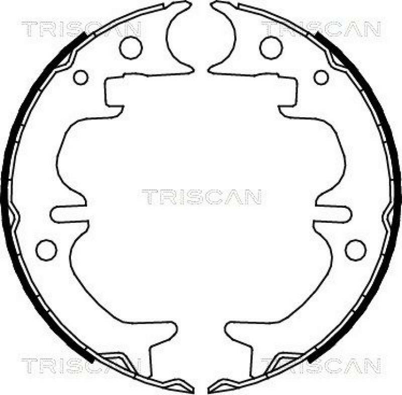 TRISCAN Brake Shoe Set, parking brake