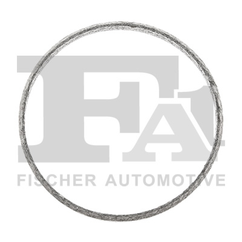 FA1 Dichtring, Abgasrohr
