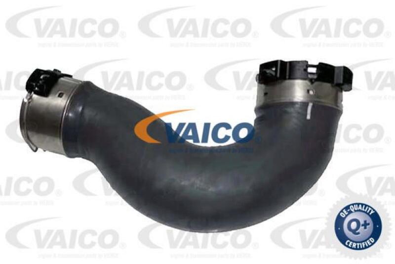 VAICO Charger Air Hose Q+, original equipment manufacturer quality