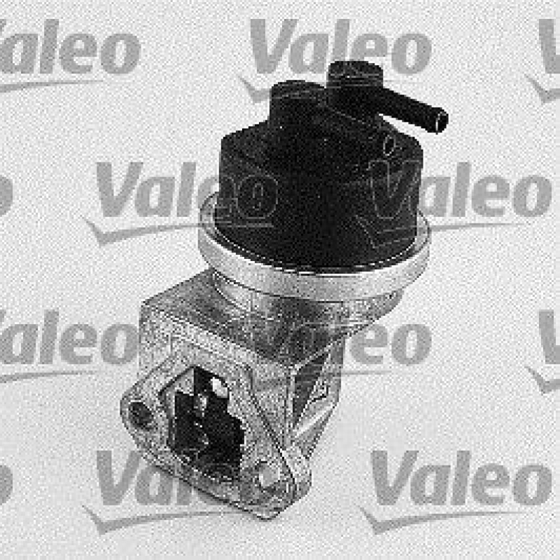 VALEO Kraftstoffpumpe 247118