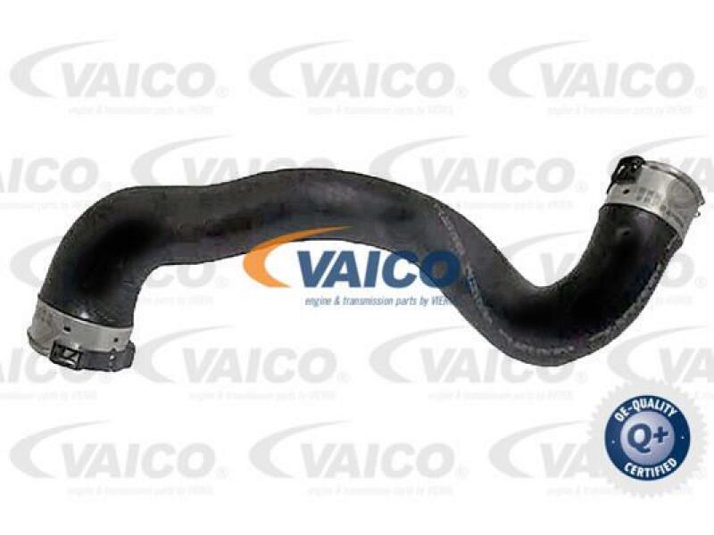 VAICO Ladeluftschlauch Q+, Erstausr&uuml;sterqualit&auml;t V30-1067