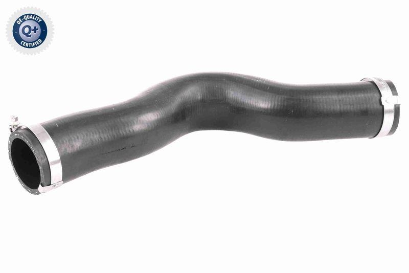 VAICO Charger Air Hose Q+, original equipment manufacturer quality