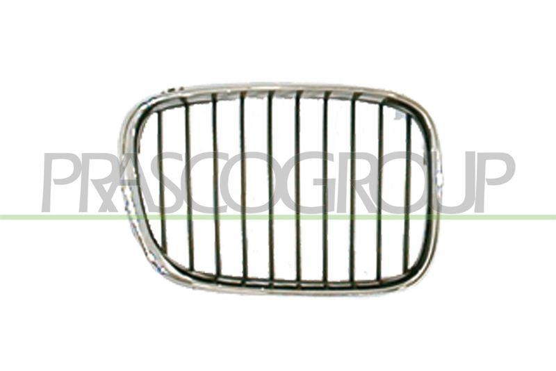 Radiator Grille Premium