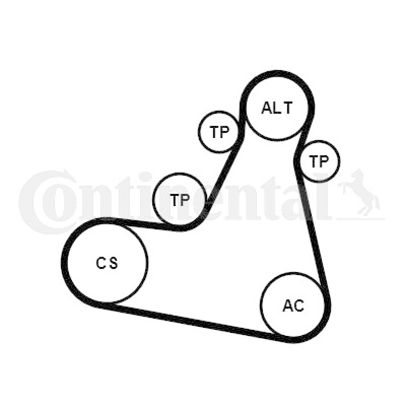 CONTINENTAL CTAM Keilrippenriemensatz