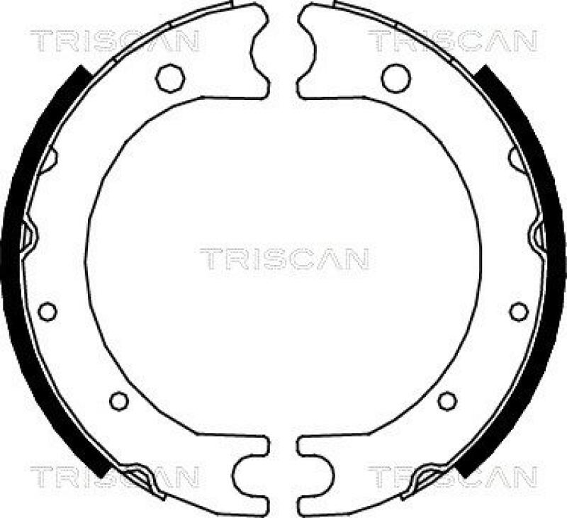 TRISCAN Brake Shoe Set, parking brake