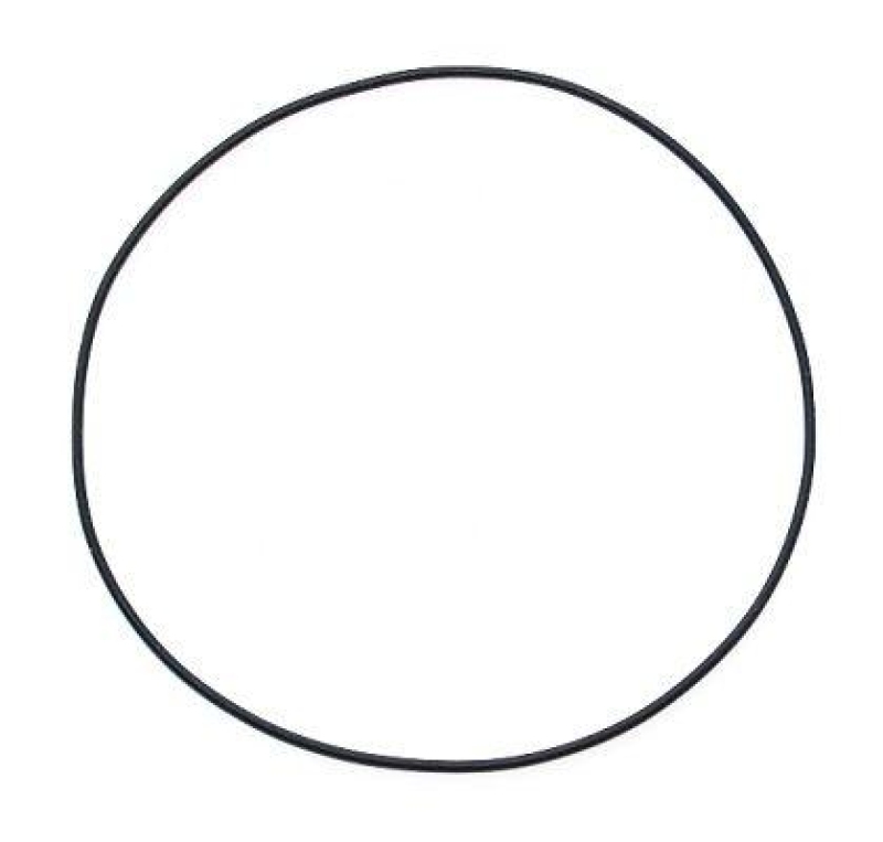 ELRING Dichtring