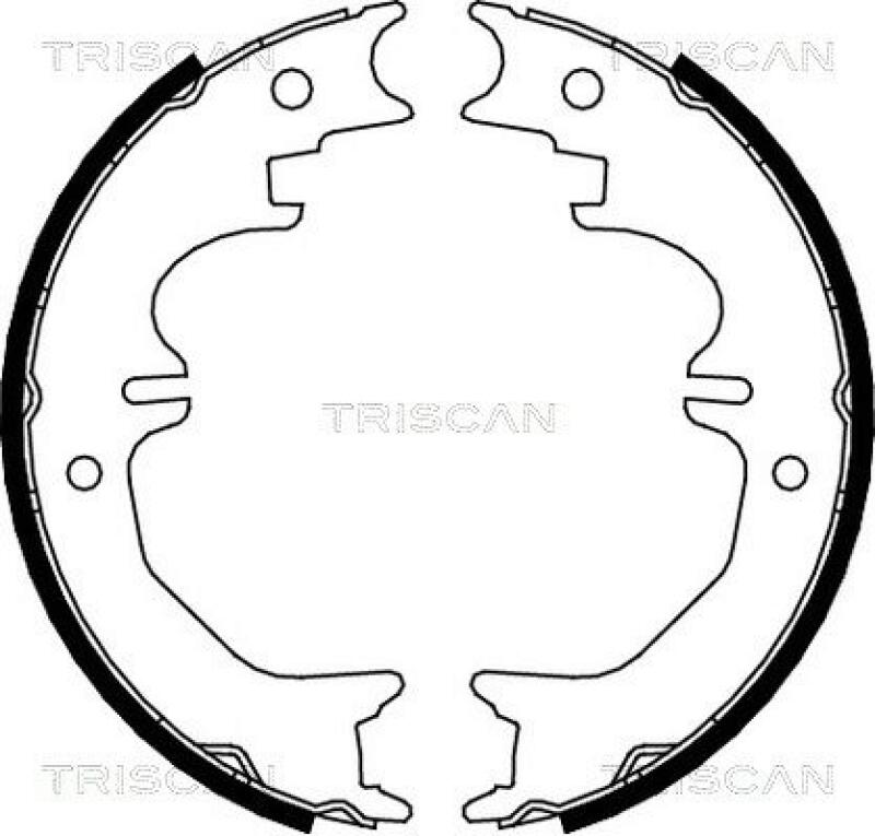 TRISCAN Brake Shoe Set, parking brake