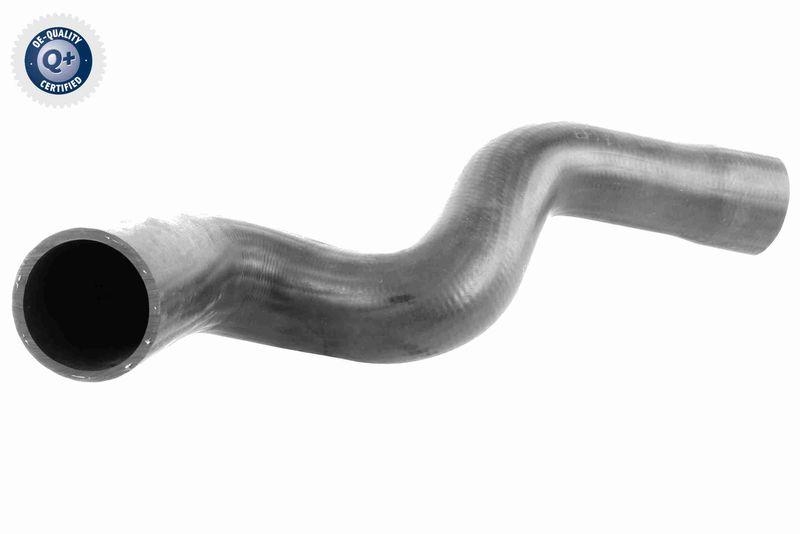 VAICO Charger Air Hose Original VAICO Quality