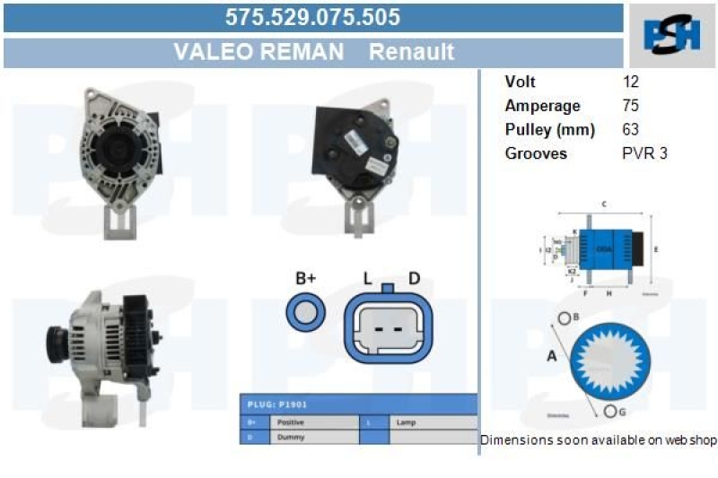 BV PSH Generator