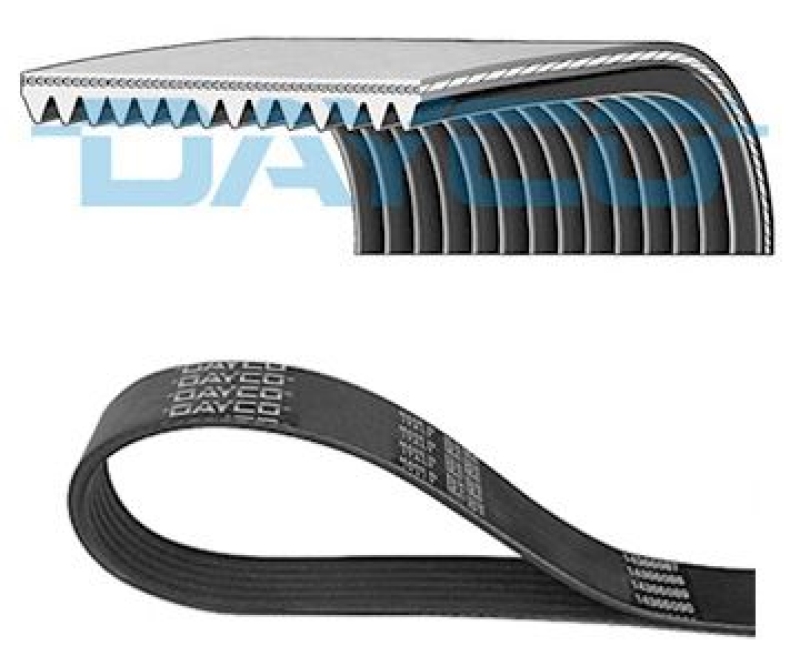 DAYCO V-Ribbed Belt