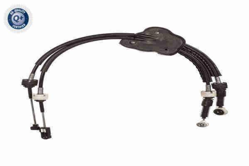 VAICO Cable Pull, manual transmission Q+, original equipment manufacturer qua...