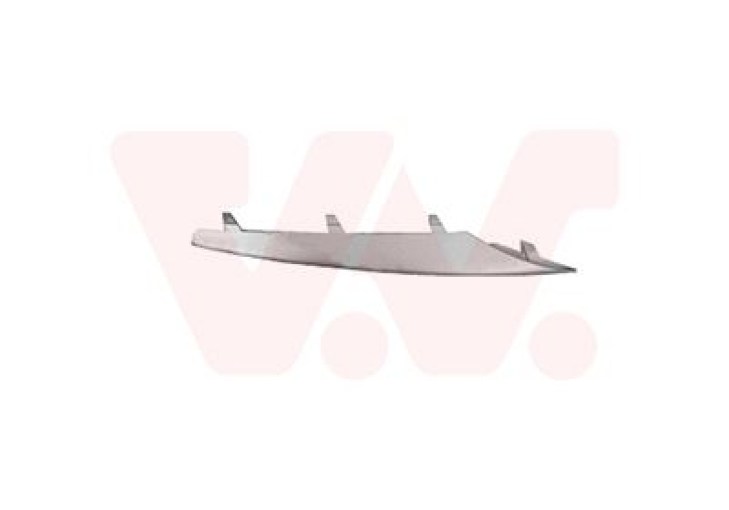 VAN WEZEL Trim/Protective Strip, bumper