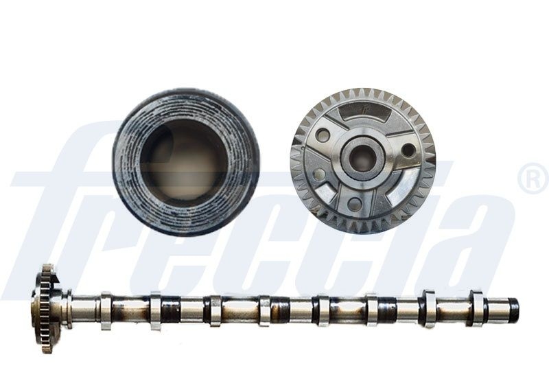 FRECCIA Camshaft