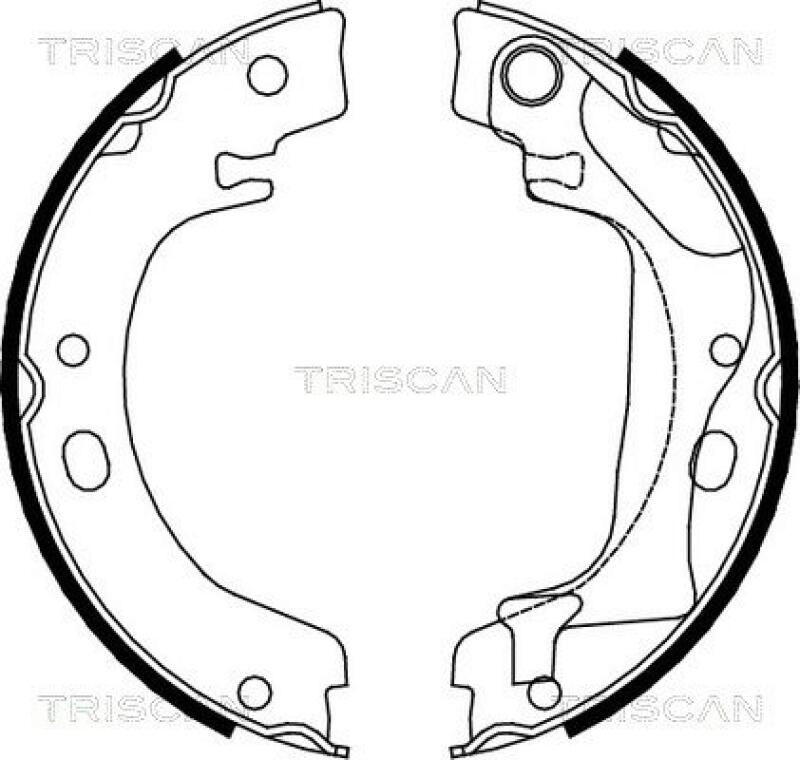 TRISCAN Brake Shoe Set, parking brake